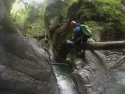 Travaux d'entretiens